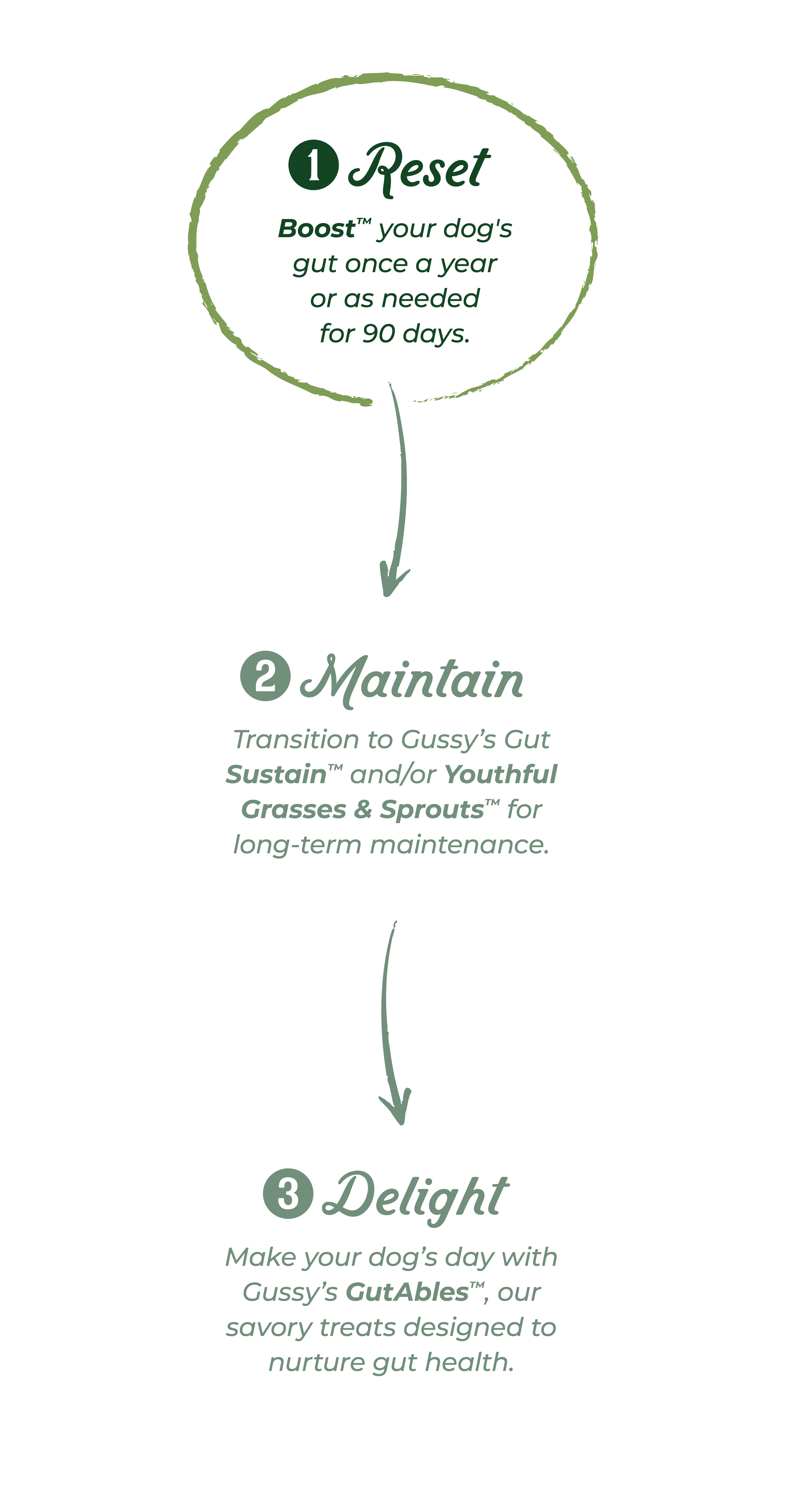 Diagram showing three steps: 1) Reset - Boosts dog's gut health for 90 days, 2) Maintain - Transition to GutSustain™ or Sp...