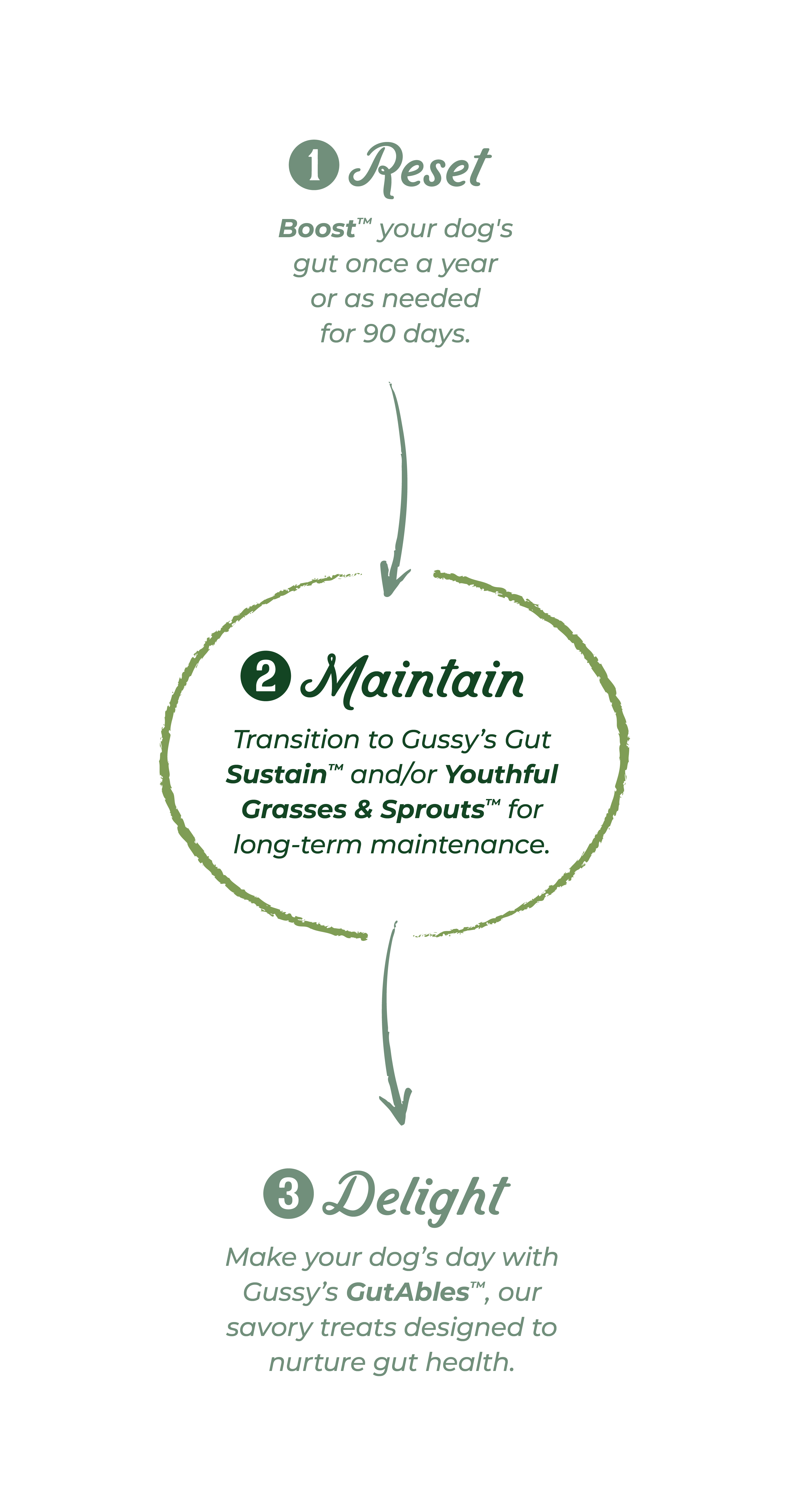 Diagram explaining three steps for dog gut health: 1) Reset with organic supplement, 2) Maintain with grass and sprout for...