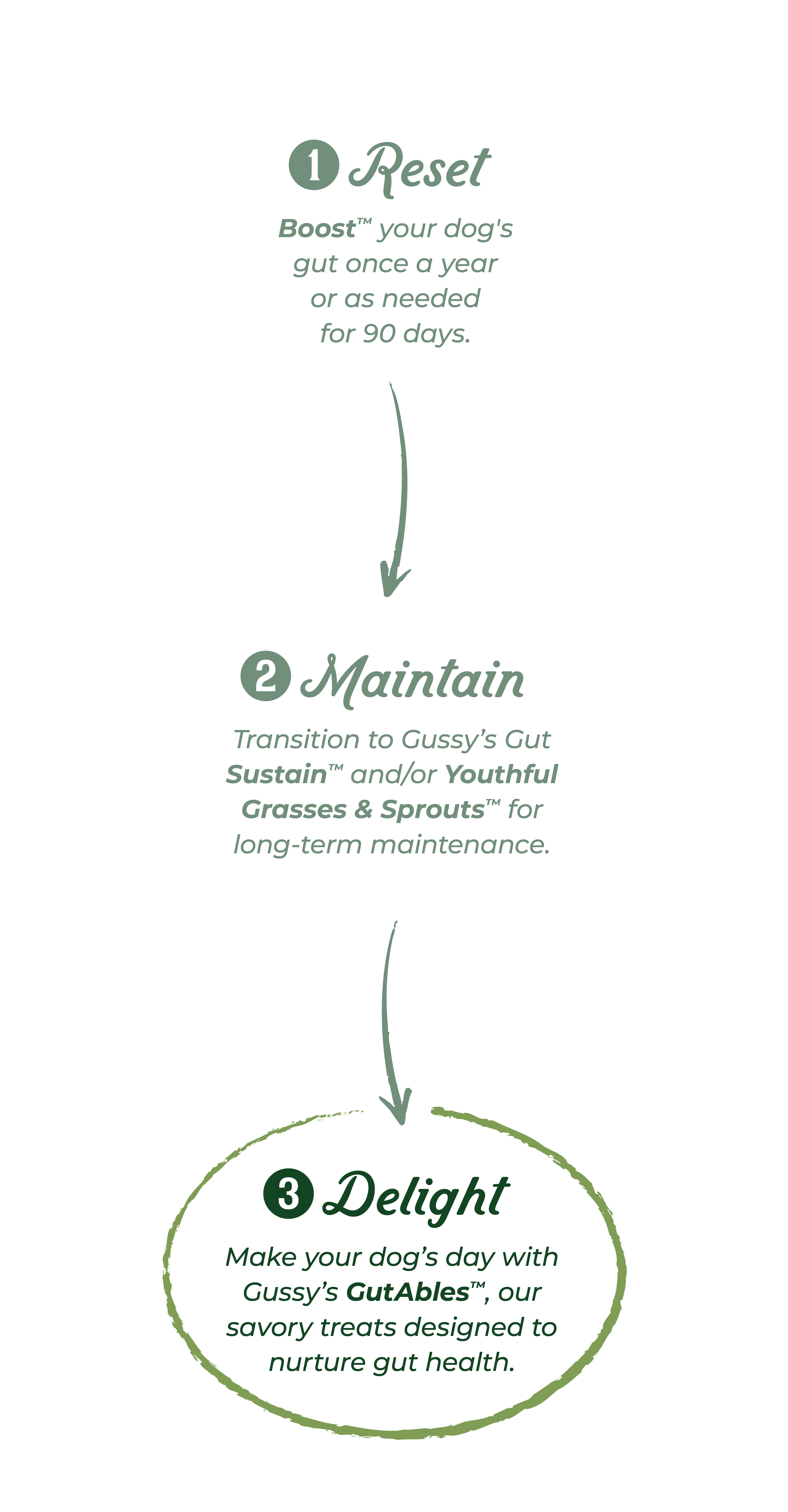 Infographic of a three-step process for dog gut health: 1. Reset with a green arrow, 2. Maintain with a second arrow, 3. D...