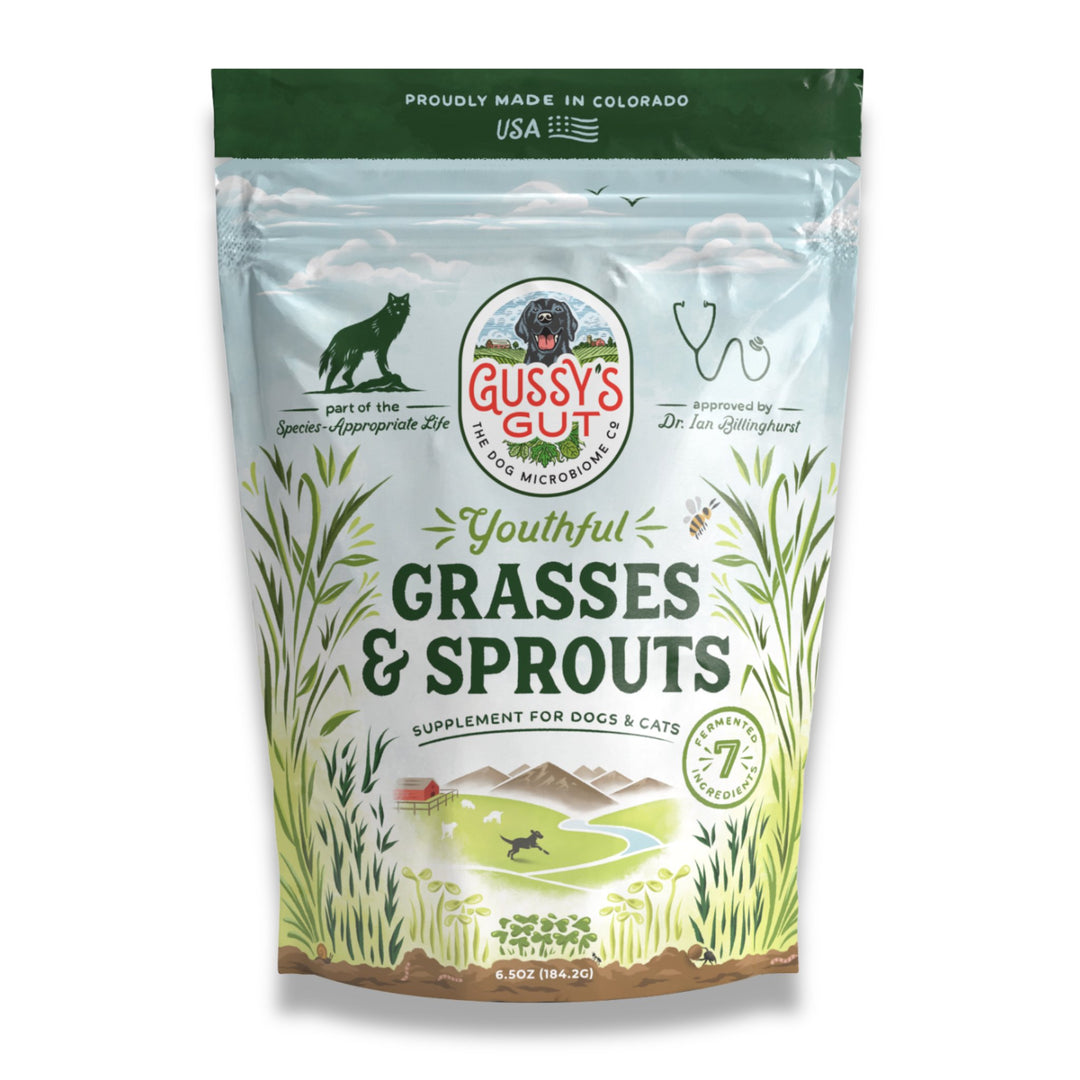Bag of Gussy's Gut Youthful Grasses & Sprouts supplement for dogs and cats, featuring nutrient-dense ingredients and prebiotics.