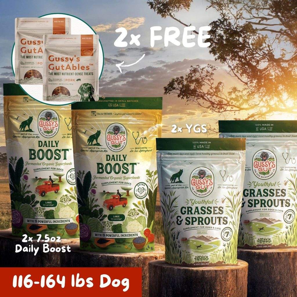 Gussy's Gut Ultimate 30 Day Protocol featuring two Daily Boost bags, free Gussy's Gutables treats, and Youthful Grasses & Sprouts for dogs.