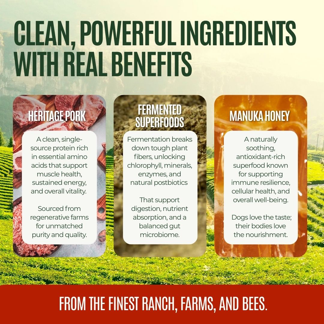 Gussy's GutAbles® Treats (White Oak Pastures Pork)