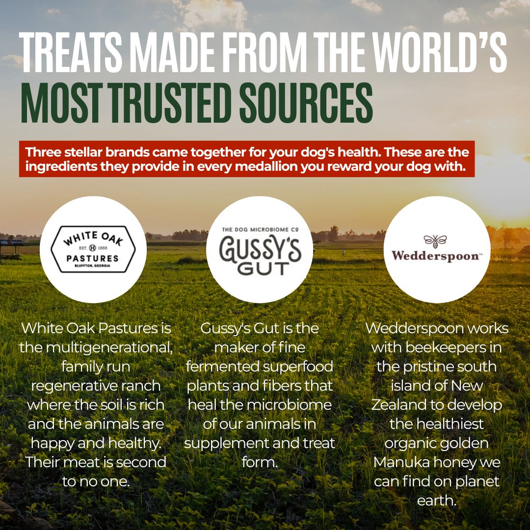 Gussy's GutAbles® Treats (White Oak Pastures Pork)