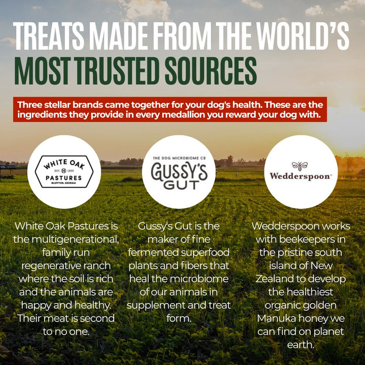 Gussy's GutAbles® Treats (White Oak Pastures Pork)