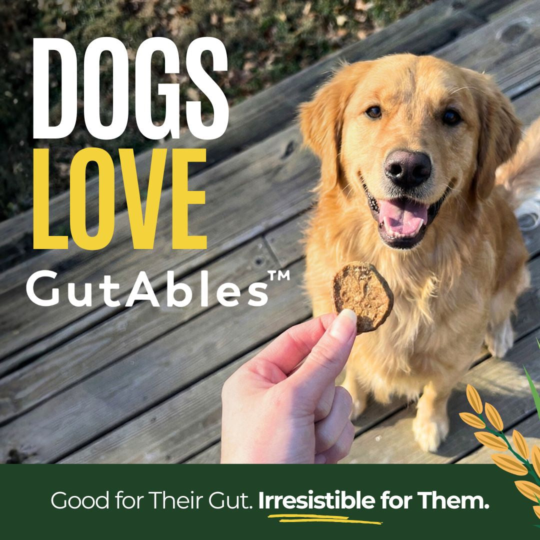 Gussy's GutAbles® Treats (White Oak Pastures Pork)