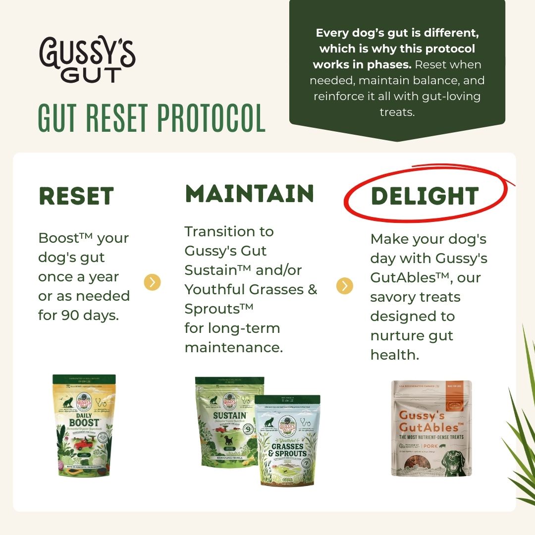 Gussy's GutAbles® Treats (White Oak Pastures Pork)