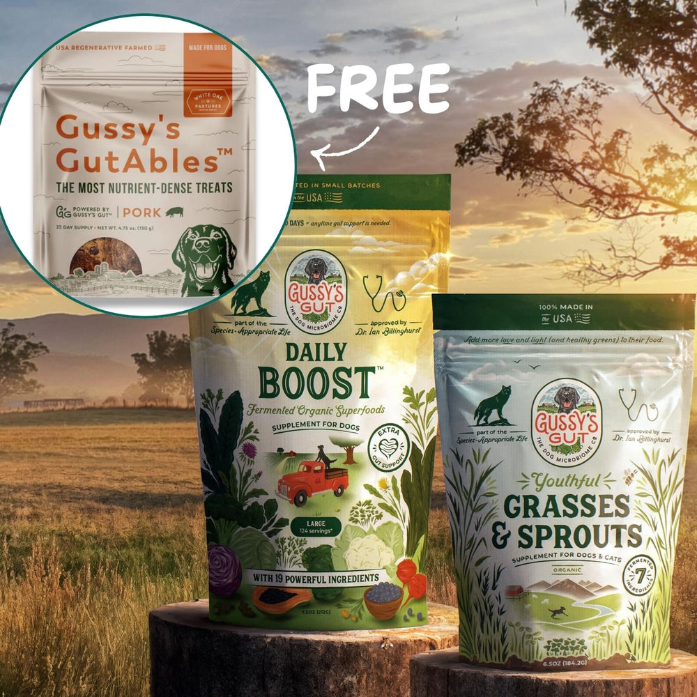 Gussy's Gut Protocol featuring GutAbles treats, Daily Boost superfood, and Grasses & Sprouts supplement for dogs.