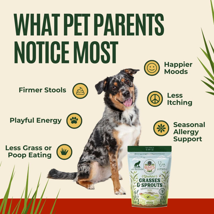 Youthful Grasses & Sprouts