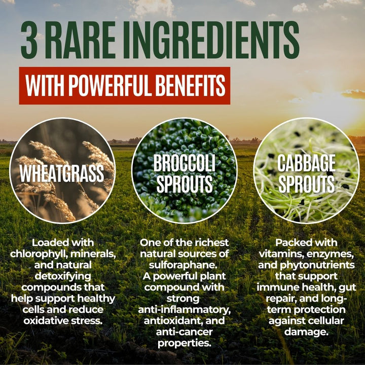 Youthful Grasses & Sprouts