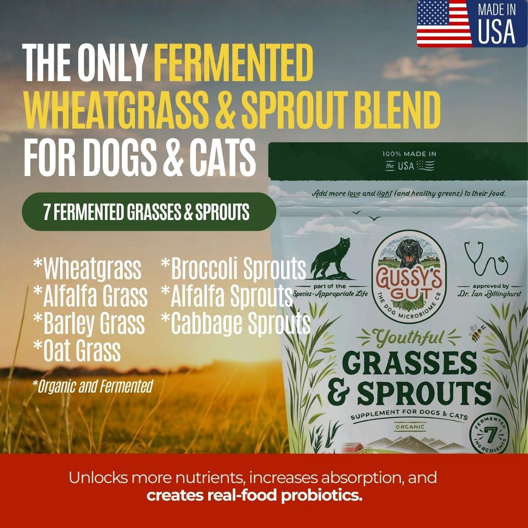 Youthful Grasses & Sprouts