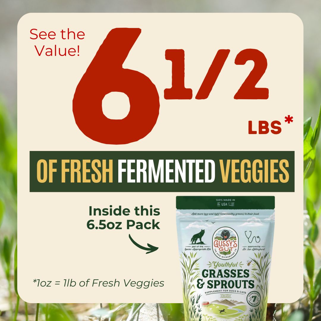 Youthful Grasses & Sprouts