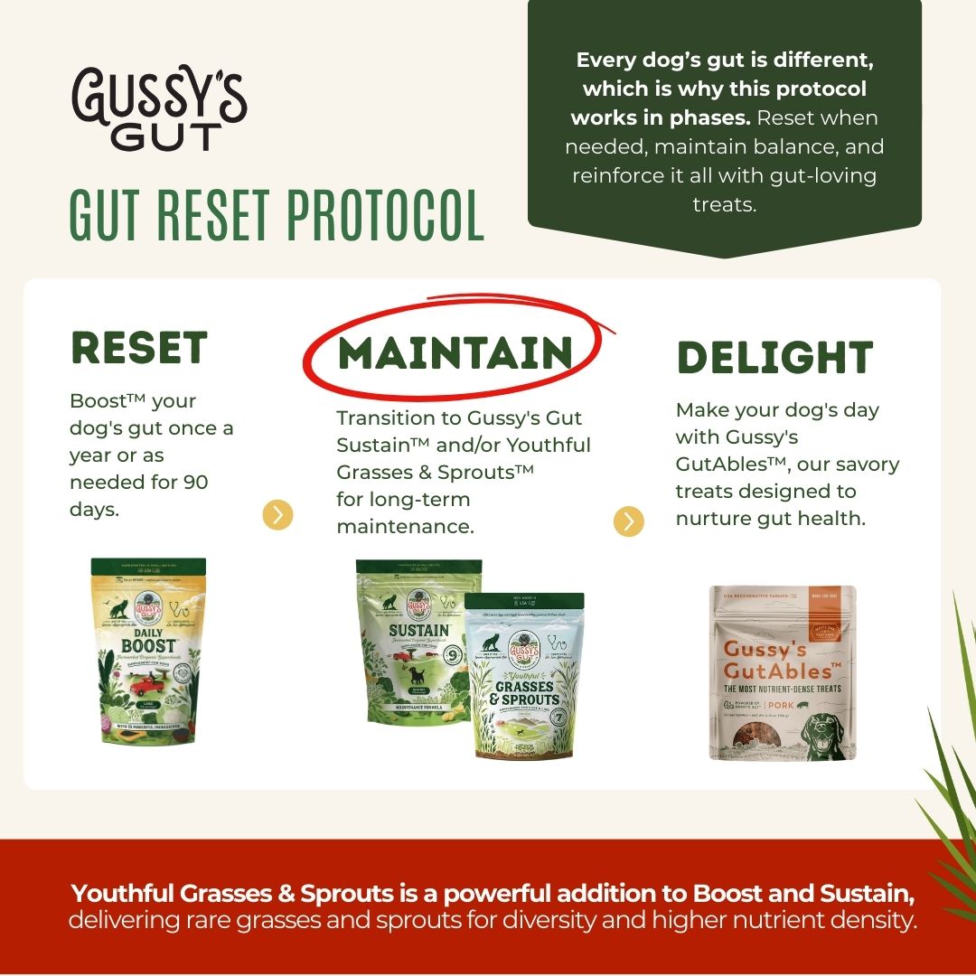 Youthful Grasses & Sprouts