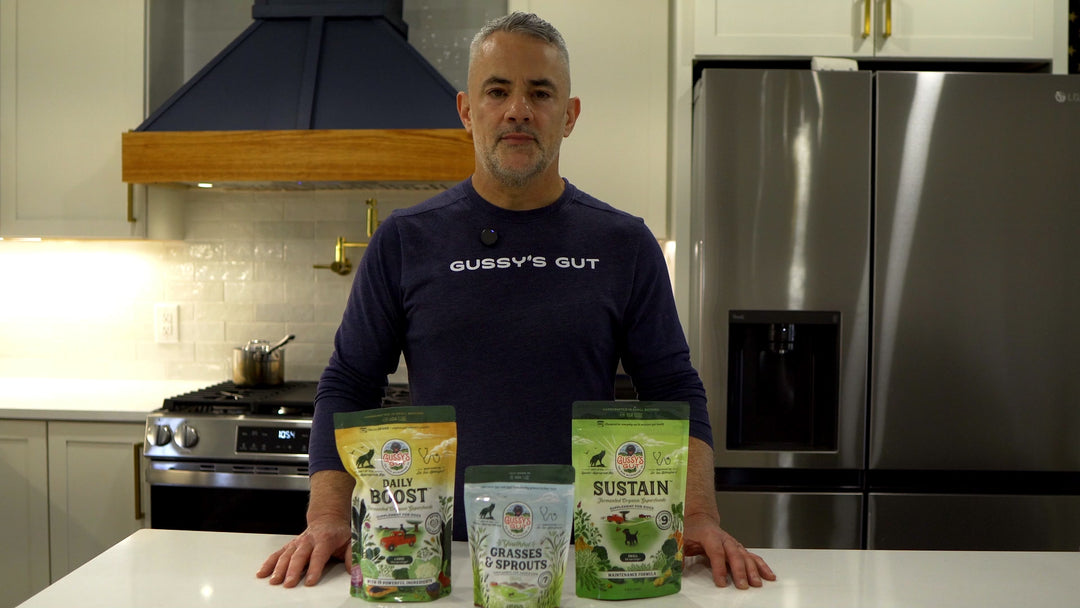 Youthful Grasses & Sprouts